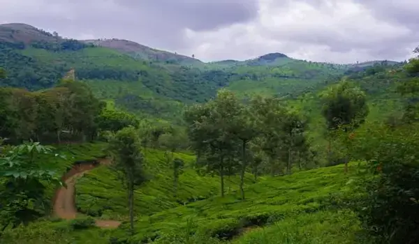 Featured Image of Nanmangalam Reserve Forest