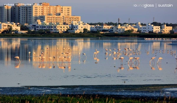 Featured Image of Pallikaranai Marshland